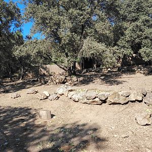 African Spurred Tortoise Exhibit