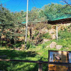 Vultures Walkthrough Aviary