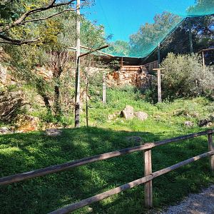Vultures Walkthrough Aviary