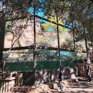 Crab-eating Macaque Exhibit