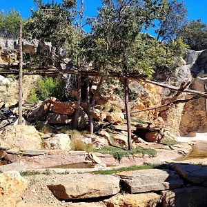 Binturong & Asian small-clawed Otter Exhibit