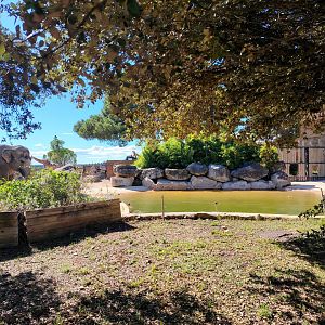 Asian Elephant old Exhibit