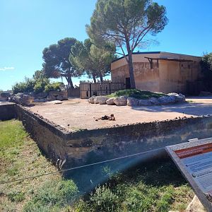 Asian Elephant old Exhibit