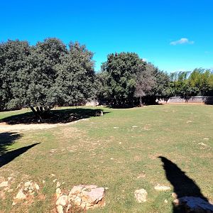 Wallaby & Emu Exhibit