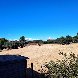 Blackbuck & Fallow Deer Exhibit