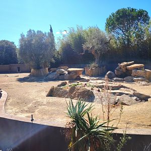 Crested Porcupine Exhibit