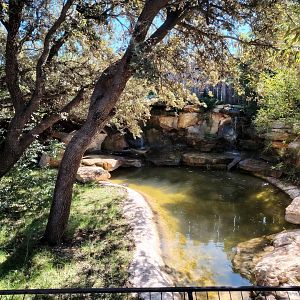 Dwarf Crocodile Outdoor Exhibit