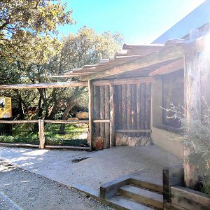 Dwarf Crocodile Exhibit