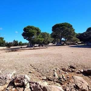 White Rhino, Blue Wildebeest and Beisa Exhibit