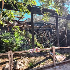 Squirrel Monkey Exhibit