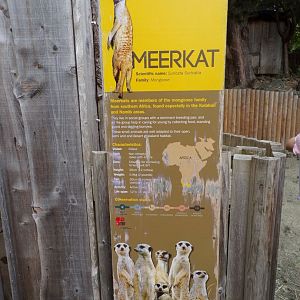 Old meerkat signage 14.8.23