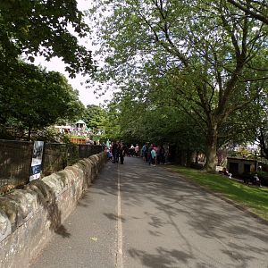 View alongside pygmy hippo enclosure 14.8.23