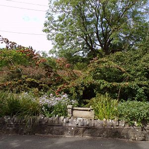 View of flowerbeds in zoo 14.8.23
