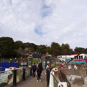View from Penguin enclosure 14.8.23