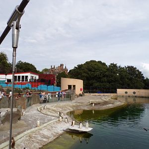 View of mansion house from Penguin enclosure 14.8.23