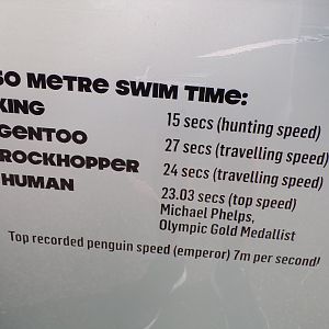 Interesting penguin signage 14.8.23