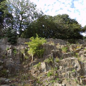 Old barbary rock 14.8.23