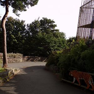 View coming down from the older tiger enclosure 14.8.23