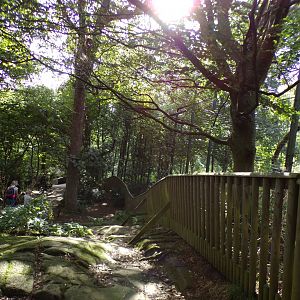 Path alongside the lion enclosure 14.8.23