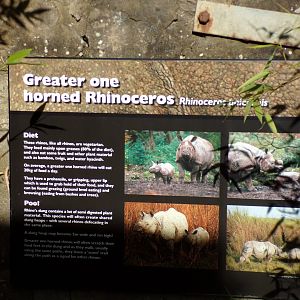 Older Indian rhinoceros signage 14.8.23