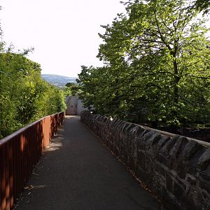 Path alongside Indian rhinoceros and Visayan warty pig enclosures 14.8.23