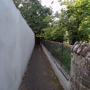 View of path along Visayan warty pig enclosure 14.8.23