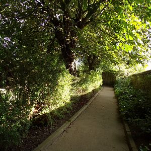 Path between rhinoceros and warty pig enclosures 14.8.23