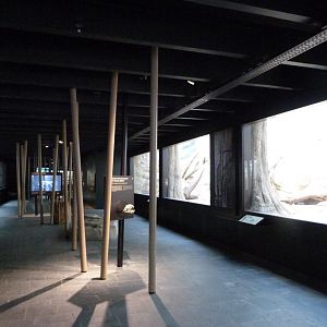 "Reich der Jäger" view -Zoologischer Garten Berlin (2024)