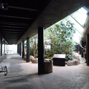 "Reich der Jäger" view -Zoologischer Garten Berlin (2024)