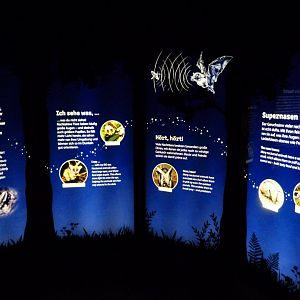 "Tiere der Nacht" entrance sign -Zoologischer Garten Berlin (2024)