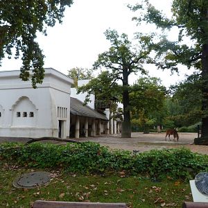 Grant's zebra and Common eland exhibit -Zoologischer Garten Berlin (2024)