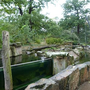 Asian short-clawed otter exhibit -Zoologischer Garten Berlin (2024)