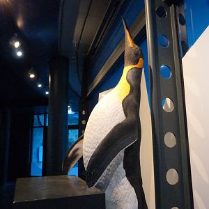 King penguin statue -Zoologischer Garten Berlin (2024)