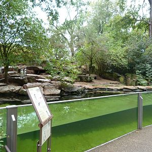Humboldt penguin exhibit -Zoologischer Garten Berlin (2024)
