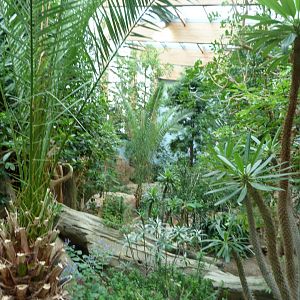 African walkthrough -Zoologischer Garten Berlin (2024)