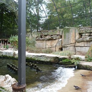 Coastal aviary -Zoologischer Garten Berlin (2024)