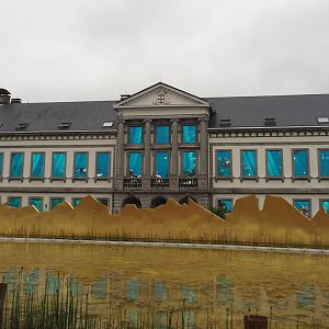 Aquarium building (1852 castle) with new ocean projection screens in windows, 2024-09-17