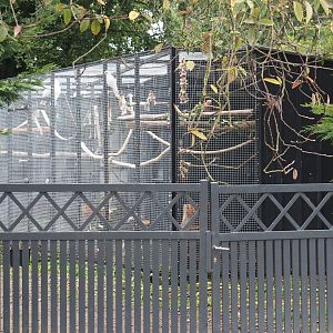 Aviary block for blue-and-gold macaws and cockatoos used for free-flight demonstrations, 2024-09-17