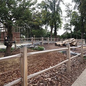 Andalusian horse paddock around the former raptor show arena, 2024-09-17