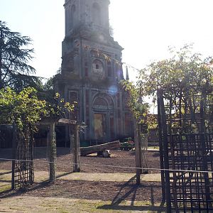 Andalusian horse paddock in former rose garden area, 2024-09-17