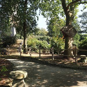 Miniature horse paddock near old abbey tower, 2024-09-17