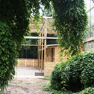 New aviary under construction near the entrance of the Oasis greenhouse, 2024-09-17