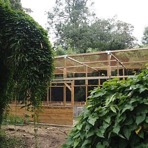 New aviary under construction near the entrance of the Oasis greenhouse, 2024-09-17