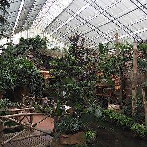 Oasis - Lower walkway and Monkey island now housing Cotton-top tamarins, 2024-09-17