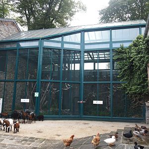 Spix's macaw and Lear's macaw aviaries now located in farm area, 2024-09-17