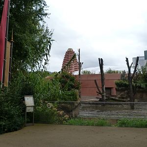 Indian rhinoceros and Visayan warty pig exhibit -Zoologischer Garten Berlin (2024)