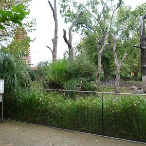 Indian rhinoceros and Visayan warty pig exhibit -Zoologischer Garten Berlin (2024)