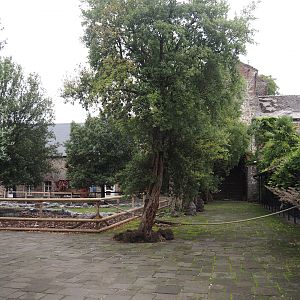 Göttinger mini pig and Chinese goose paddocks in former entrance area, 2024-09-17