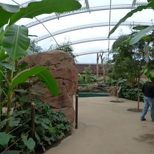 "Nashorn-Pagode" view -Zoologischer Garten Berlin (2024)