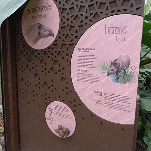 South American tapir signs -Zoologischer Garten Berlin (2024)